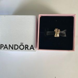 Pandora 14kt Flower Bouquet with Diamonds 💎